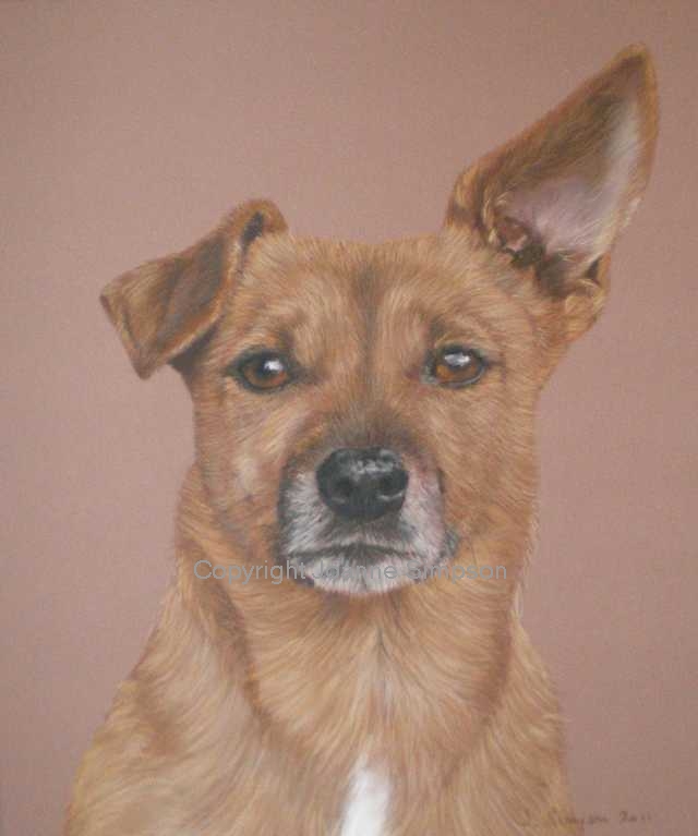 Fell Terrier pet portrait by Joanne Simpson.